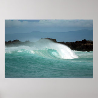 ケカハカイビーチ ポスター