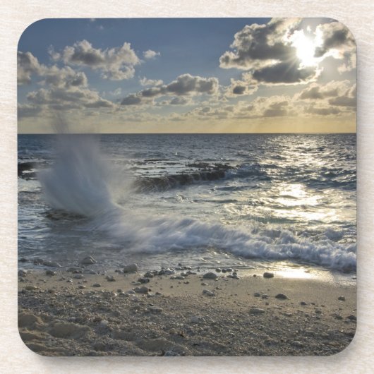 ケカリブのイマン諸島 クラッシュ波 コースター (正面)