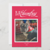 ケケケ、馬鹿なペットの写真のホリデーカード 招待状 (正面)