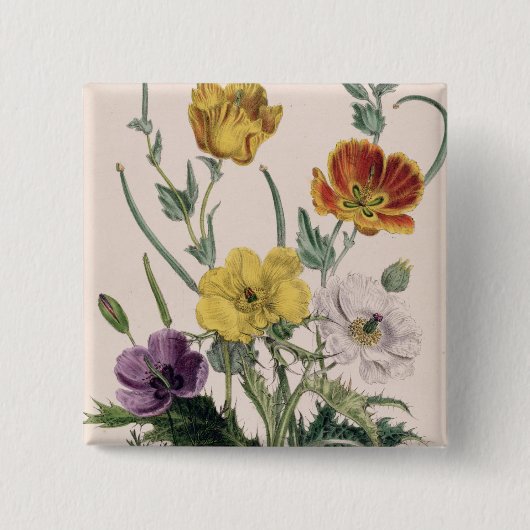ケシおよびアネモネ 缶バッジ (正面)