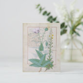 ケシとイチジク ポストカード (スタンド正面)