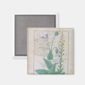 ケシとイチジク マグネット (正面/裏面)