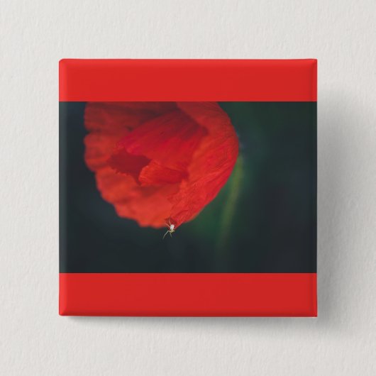 ケシとクモ 缶バッジ (正面)