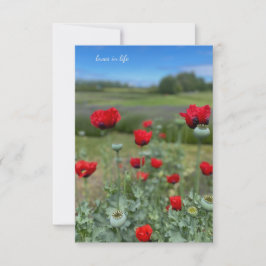 ケシとケシの頭 ノートカード