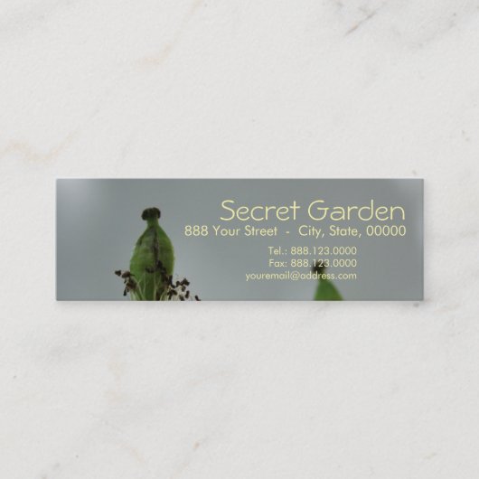 ケシとシェード(5) スキニー名刺 (正面)