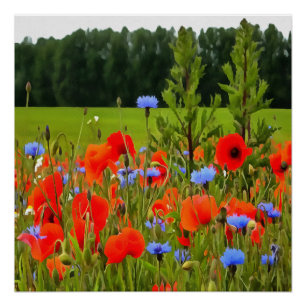 ケシとトウモロコシの花のリアルな風景アート ポスター