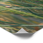 ケシとトウモロコシの花を持つ小麦畑 ポスター (角)