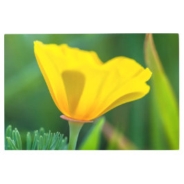 ケシとビー メタルプリント