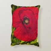 ケシのシリーズ#2 アクセントクッション (裏面(縦))