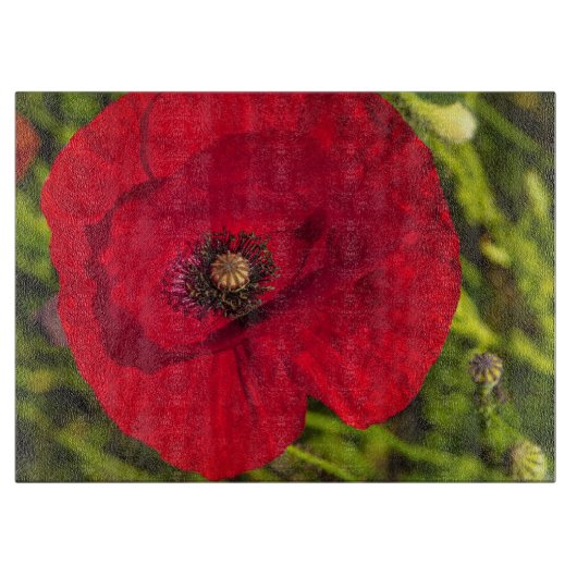 ケシのシリーズ#2 カッティングボード (正面)