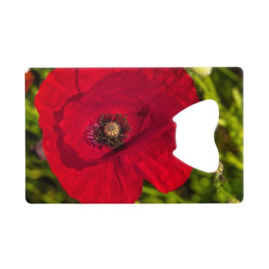 ケシのシリーズ#2 クレジットカード栓抜き (裏面横)