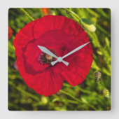 ケシのシリーズ#2 スクエア壁時計 (正面)