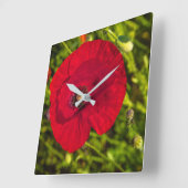 ケシのシリーズ#2 スクエア壁時計 (傾斜)