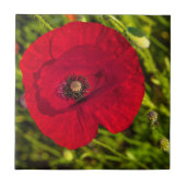 ケシのシリーズ#2 タイル (正面)