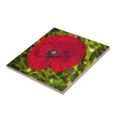 ケシのシリーズ#2 タイル (側面)