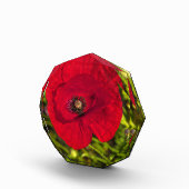 ケシのシリーズ#2 フォトブロック (右)