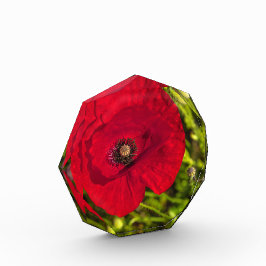 ケシのシリーズ#2 フォトブロック