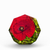 ケシのシリーズ#2 フォトブロック (正面)