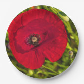 ケシのシリーズ#2 ペーパープレート (正面)