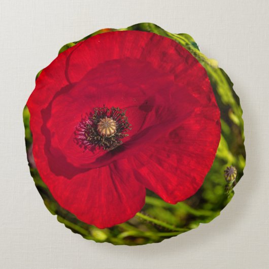 ケシのシリーズ#2 ラウンドクッション (裏面)