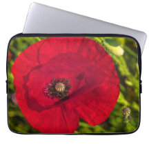 ケシのシリーズ#2