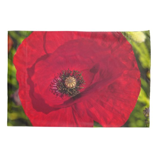 ケシのシリーズ#2 枕カバー (裏面)