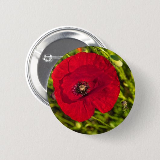 ケシのシリーズ#2 缶バッジ (正面&裏面)