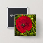 ケシのシリーズ#2 缶バッジ (正面&裏面)