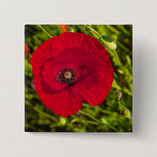 ケシのシリーズ#2 缶バッジ (正面)