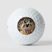 ケシのスパニエル犬の子犬たち ゴルフボール (正面)