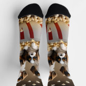 ケシのスパニエル犬の子犬たち ソックス (上部)