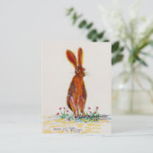 ケシのノウサギ ポストカード (スタンド正面)