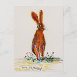 ケシのノウサギ ポストカード
