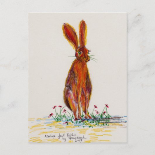 ケシのノウサギ ポストカード (正面)
