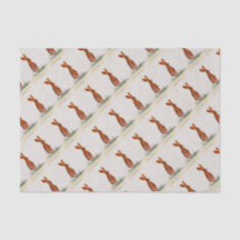 ケシのノウサギ