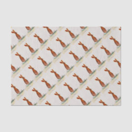 ケシのノウサギ 薄葉紙