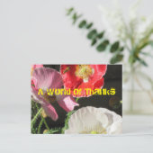 ケシのポストカードに入る ポストカード (スタンド正面)