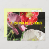 ケシのポストカードに入る ポストカード (正面/裏面)