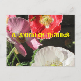 ケシのポストカードに入る ポストカード