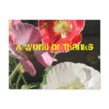 ケシのポストカードに入る