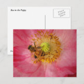 ケシの中に入る ポストカード (正面/裏面)