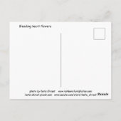ケシの仲間のタイツリソウの絵はがき ポストカード (裏面)