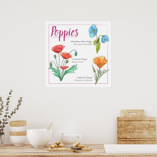 ケシの品種 ポスター (キッチン)