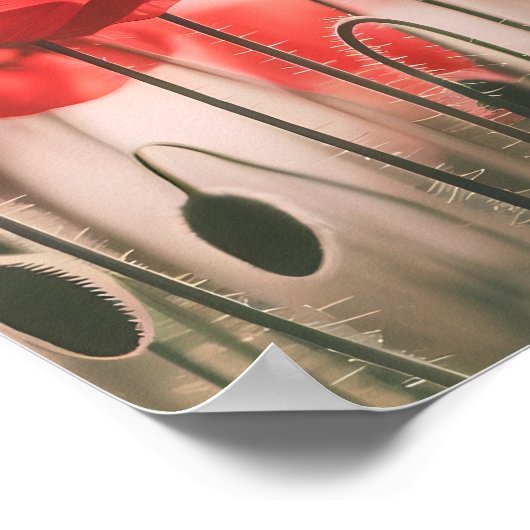 ケシの囁き ポスター (角)