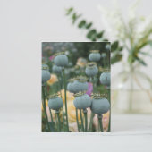 ケシの実の頭のポストカード ポストカード (スタンド正面)