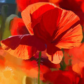 ケシの家 – 油絵 フォトプリント           