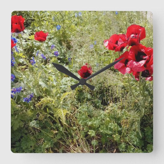 ケシの時間 スクエア壁時計 (正面)