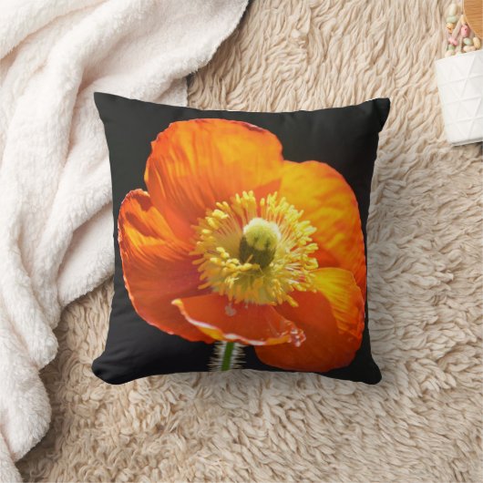 ケシの枕 クッション (ブランケット)