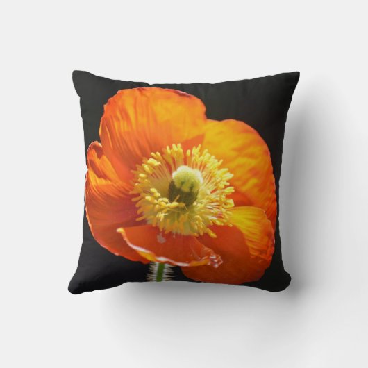 ケシの枕 クッション (裏面)