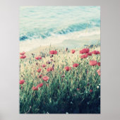 ケシの海 ポスター (正面)